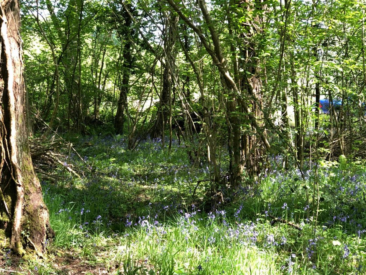 Coed Y Marchog Woodland Retreat Villa Hereford Bagian luar foto