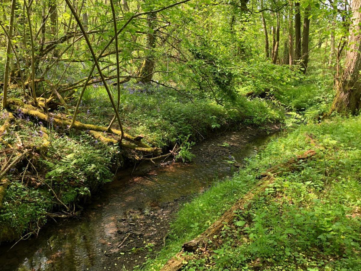 Coed Y Marchog Woodland Retreat Villa Hereford Bagian luar foto