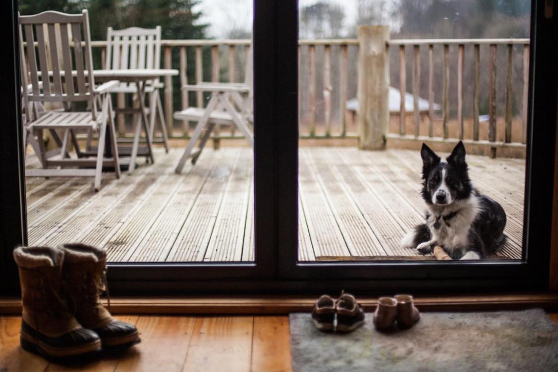 Coed Y Marchog Woodland Retreat Villa Hereford Bagian luar foto