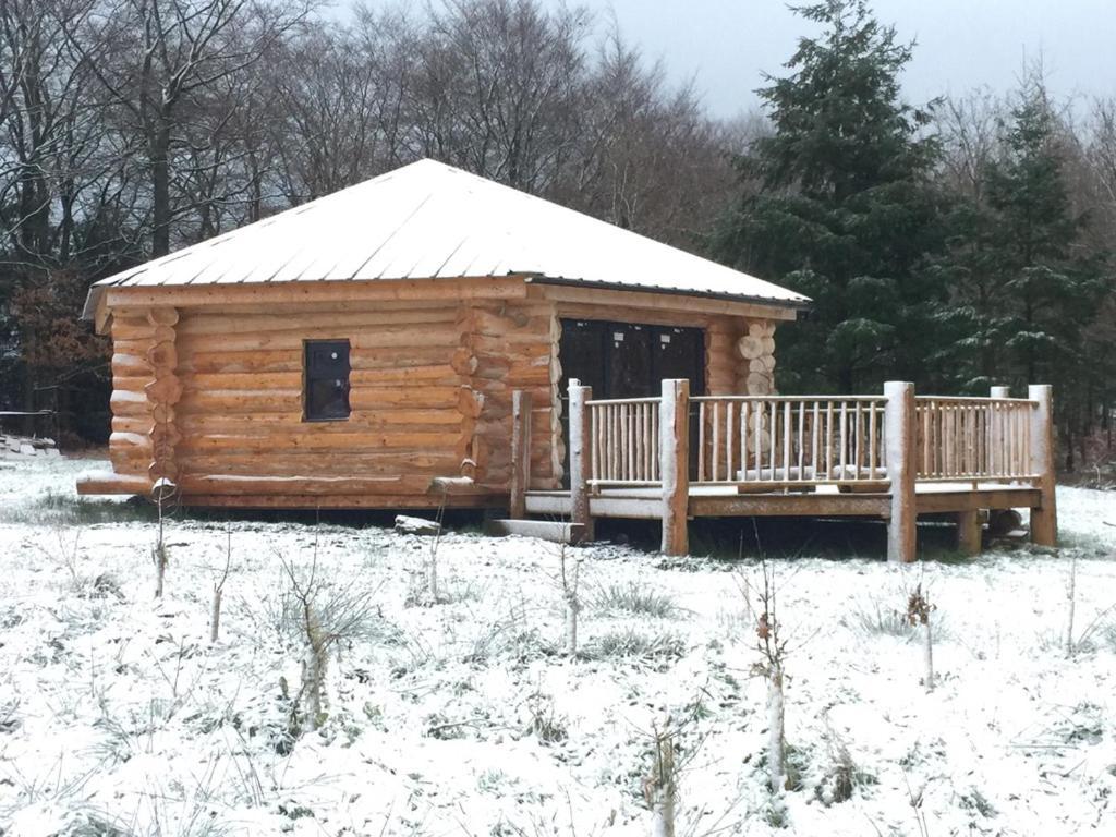 Coed Y Marchog Woodland Retreat Villa Hereford Bagian luar foto