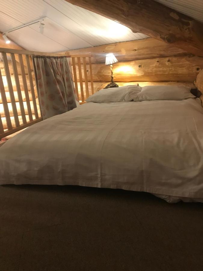 Coed Y Marchog Woodland Retreat Villa Hereford Bagian luar foto